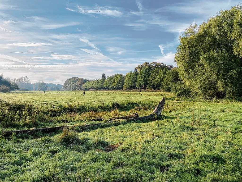 Natuur rond het Markdal | Ons Weekblad